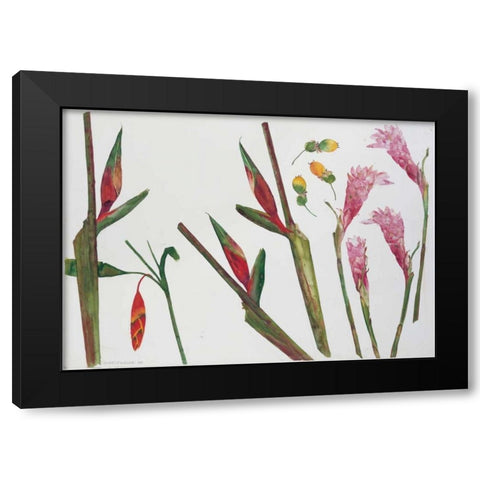 Heliconia, Passion Fruit and Ginger Black Modern Wood Framed Art Print with Double Matting by Blackadder, Elizabeth