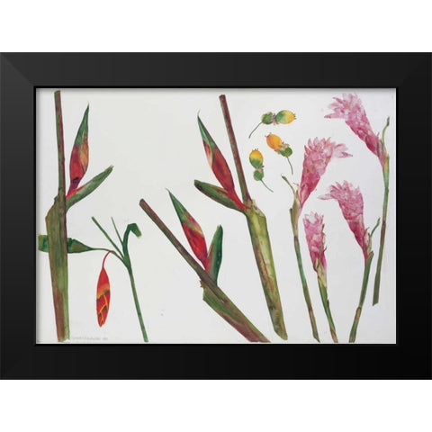 Heliconia, Passion Fruit and Ginger Black Modern Wood Framed Art Print by Blackadder, Elizabeth