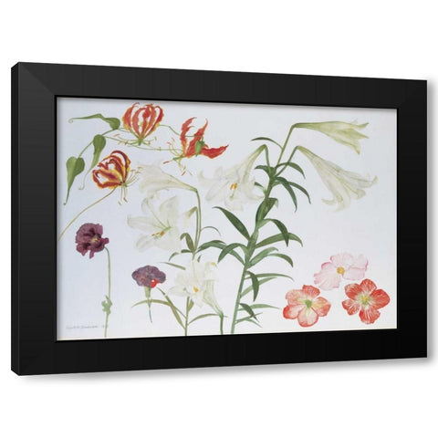 Lilies and Begonias Black Modern Wood Framed Art Print by Blackadder, Elizabeth