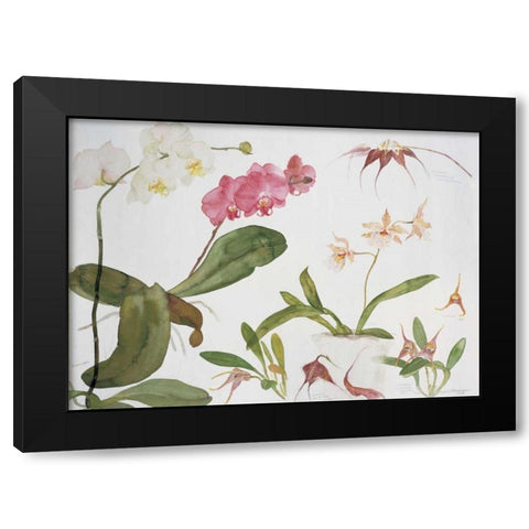 Orchid Studies Black Modern Wood Framed Art Print with Double Matting by Blackadder, Elizabeth