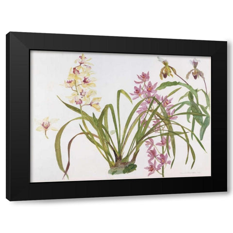 Orchids, Paphiopedilum and Cymbidium Black Modern Wood Framed Art Print with Double Matting by Blackadder, Elizabeth