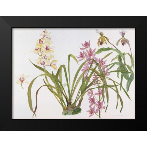 Orchids, Paphiopedilum and Cymbidium Black Modern Wood Framed Art Print by Blackadder, Elizabeth