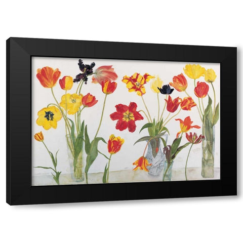 Red and Yellow Tulips Black Modern Wood Framed Art Print with Double Matting by Blackadder, Elizabeth
