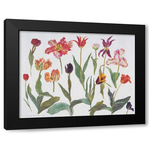 Tulips Black Modern Wood Framed Art Print with Double Matting by Blackadder, Elizabeth