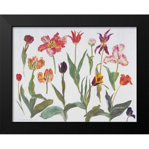 Tulips Black Modern Wood Framed Art Print by Blackadder, Elizabeth