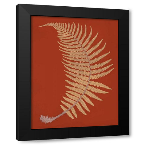 Male Fern Black Modern Wood Framed Art Print with Double Matting by Heath, Francis George