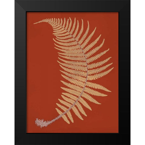 Male Fern Black Modern Wood Framed Art Print by Heath, Francis George