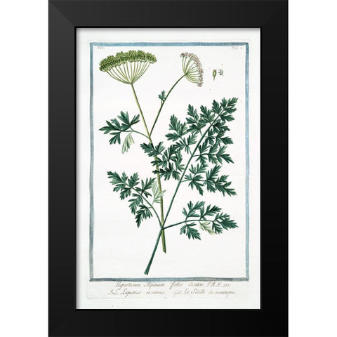Cow Parsley 1 Black Modern Wood Framed Art Print by Bonelli, Giorgio
