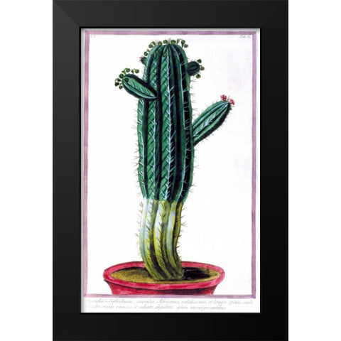 Cactus, Tithymalus Black Modern Wood Framed Art Print by Bonelli, Giorgio