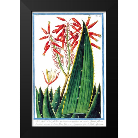 Aloe Africana Black Modern Wood Framed Art Print by Bonelli, Giorgio