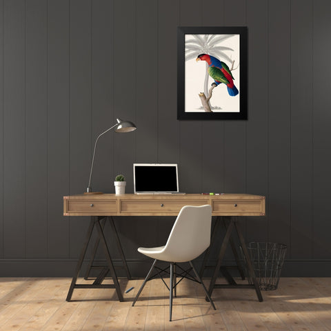 Palm/Lory Parrot Black Modern Wood Framed Art Print by Ehret-De Bevere