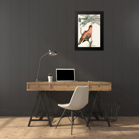 Palm/Lory Parrot Black Modern Wood Framed Art Print by Ehret-De Bevere