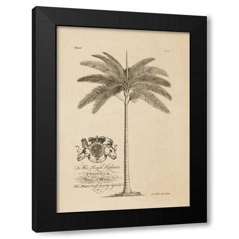 King Palm Black Modern Wood Framed Art Print with Double Matting by Ehret, Georg
