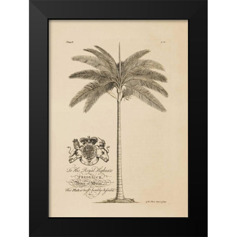King Palm Black Modern Wood Framed Art Print by Ehret, Georg