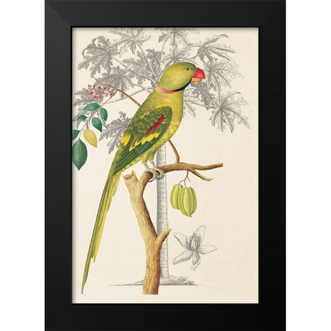 Palm/Parakeet Black Modern Wood Framed Art Print by Ehret-De Bevere