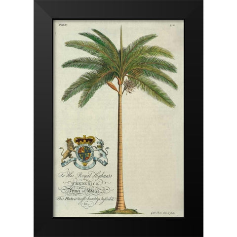 King Palm Black Modern Wood Framed Art Print by Ehret, Georg