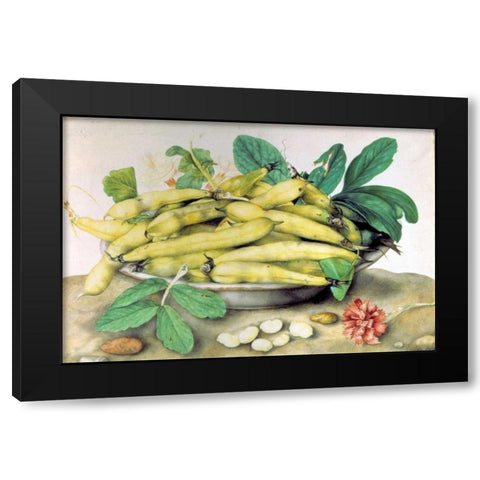 Dish of Broad Beans Black Modern Wood Framed Art Print with Double Matting by Garzoni, Giovanna