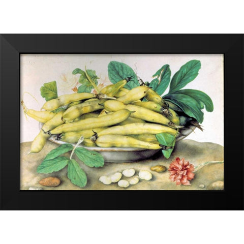 Dish of Broad Beans Black Modern Wood Framed Art Print by Garzoni, Giovanna