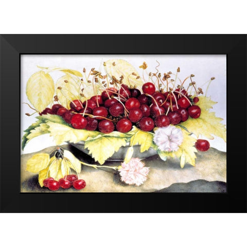 Dish of Cherries and Carnation Black Modern Wood Framed Art Print by Garzoni, Giovanna
