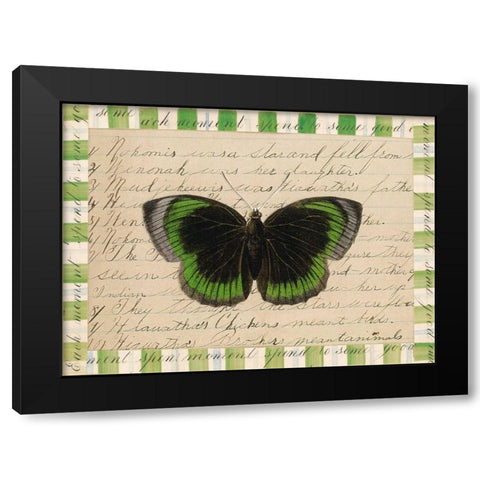 Butterfly Collage, Hiawatha Black Modern Wood Framed Art Print with Double Matting by Gould-Porter, William