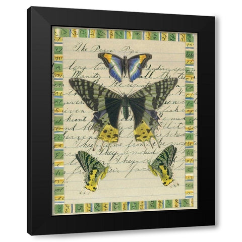 Butterfly Collage, Peace Pipe Black Modern Wood Framed Art Print with Double Matting by Gould-Porter, William