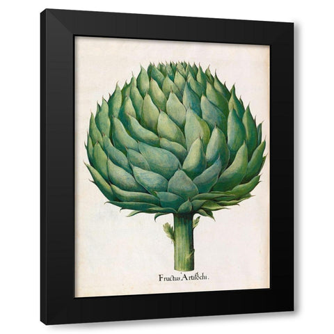 Artichoke Black Modern Wood Framed Art Print by Besler, Basilius