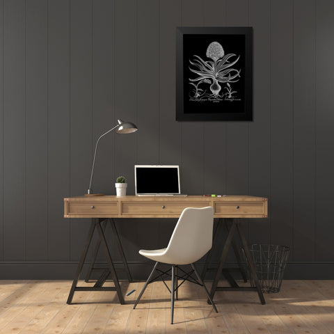 Hyacinthus Black Modern Wood Framed Art Print by Besler, Basilius