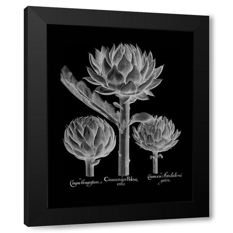 Cinera Boloni Black Modern Wood Framed Art Print by Besler, Basilius