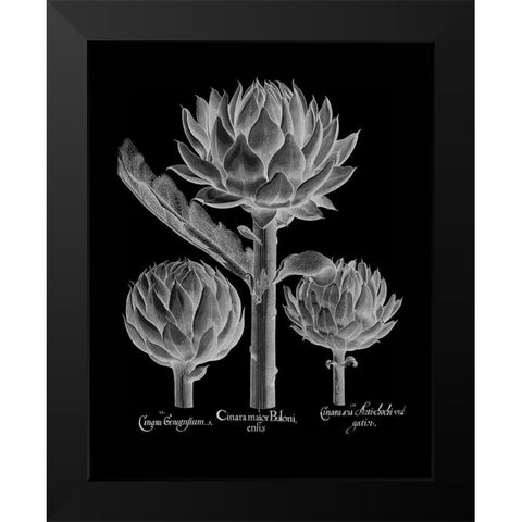 Cinera Boloni Black Modern Wood Framed Art Print by Besler, Basilius