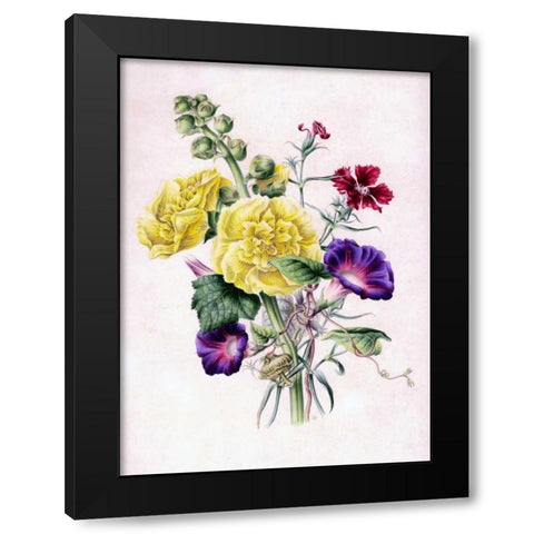 Hollyhocks Black Modern Wood Framed Art Print with Double Matting by Andrews, James