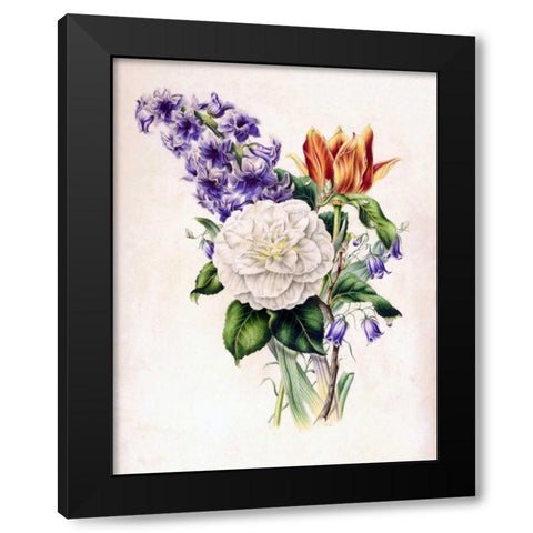 Hyacinth Black Modern Wood Framed Art Print with Double Matting by Andrews, James