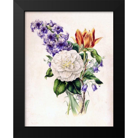 Hyacinth Black Modern Wood Framed Art Print by Andrews, James