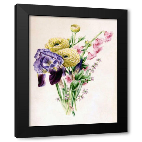 Iris Black Modern Wood Framed Art Print with Double Matting by Andrews, James