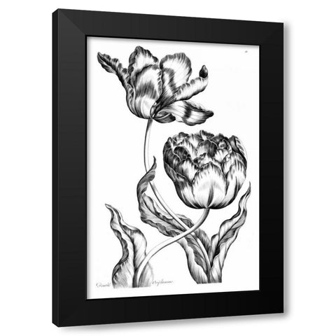 Double Oriflamme Black Modern Wood Framed Art Print with Double Matting by Hill, John