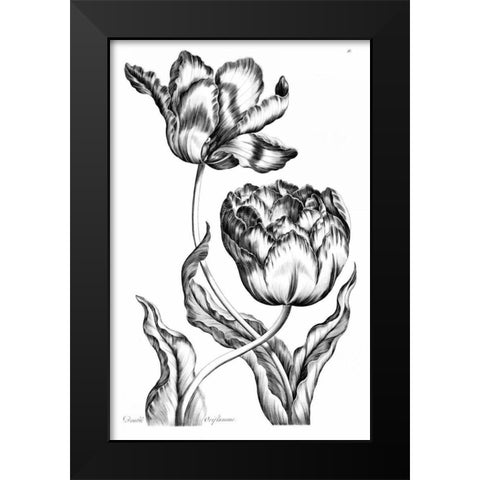Double Oriflamme Black Modern Wood Framed Art Print by Hill, John