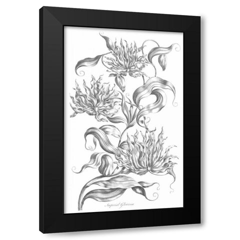 Imperial Gloriosa Black Modern Wood Framed Art Print with Double Matting by Hill, John