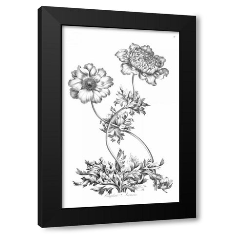 Complete Anemony Black Modern Wood Framed Art Print by Hill, John