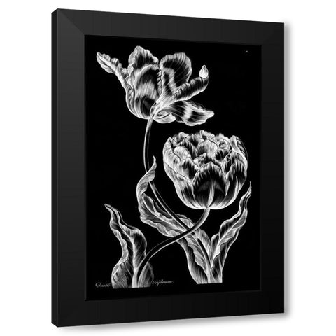 Double Oriflamme Black Modern Wood Framed Art Print with Double Matting by Hill, John