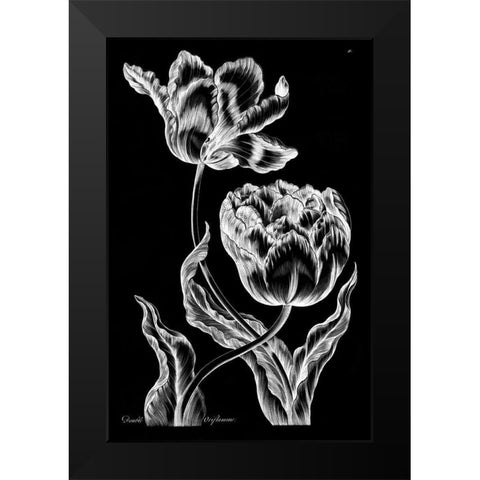 Double Oriflamme Black Modern Wood Framed Art Print by Hill, John