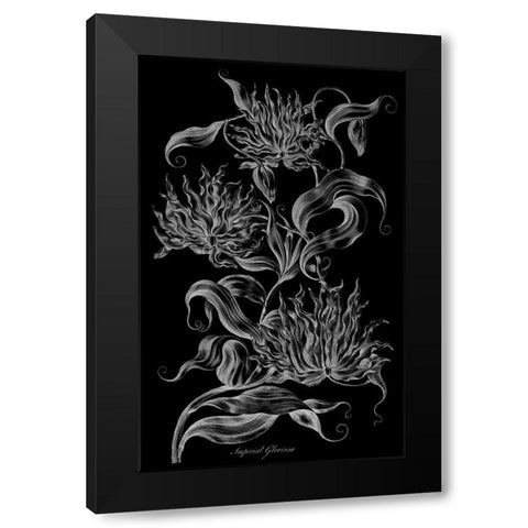 Imperial Gloriosa  Black Modern Wood Framed Art Print with Double Matting by Hill, John