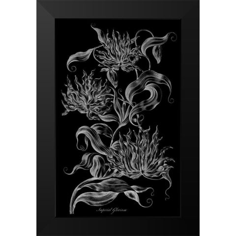 Imperial Gloriosa  Black Modern Wood Framed Art Print by Hill, John