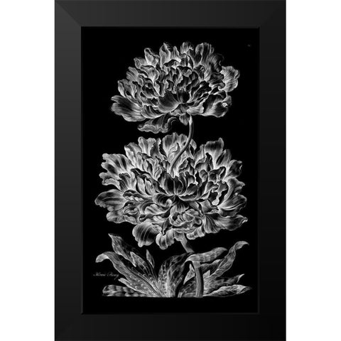 Heroic Peony Black Modern Wood Framed Art Print by Hill, John
