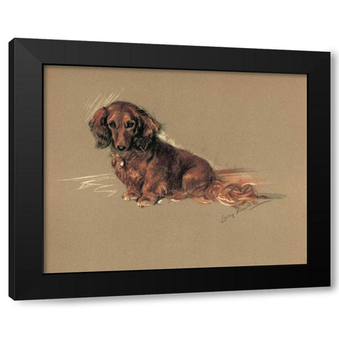 Daschund, Robin Black Modern Wood Framed Art Print by Dawson, Lucy