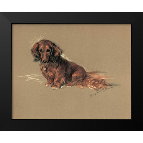 Daschund, Robin Black Modern Wood Framed Art Print by Dawson, Lucy