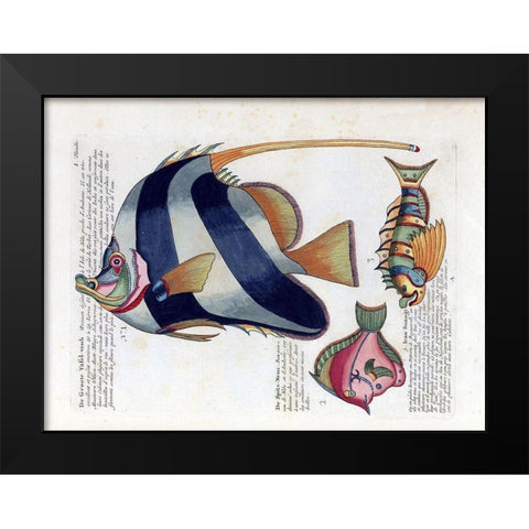De Groote Tafel-Visch Black Modern Wood Framed Art Print by Renard, Louis