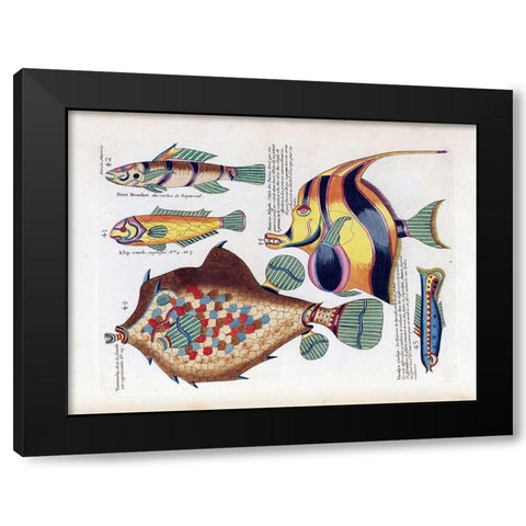 Tompombo Black Modern Wood Framed Art Print with Double Matting by Renard, Louis