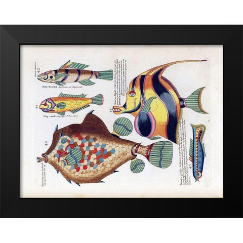 Tompombo Black Modern Wood Framed Art Print by Renard, Louis