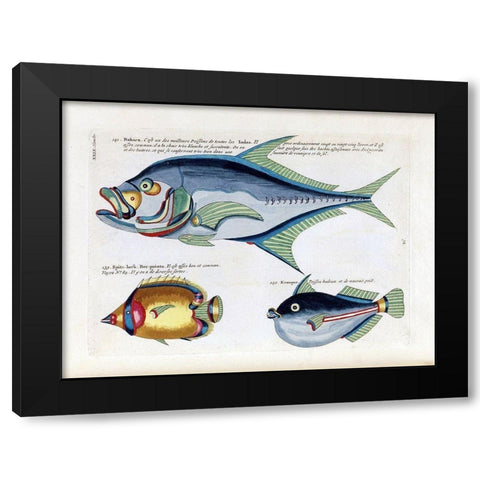 Babara Black Modern Wood Framed Art Print with Double Matting by Renard, Louis