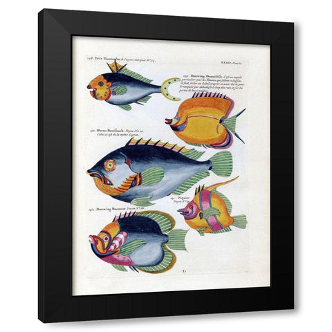 Petit Tompombo Black Modern Wood Framed Art Print with Double Matting by Renard, Louis