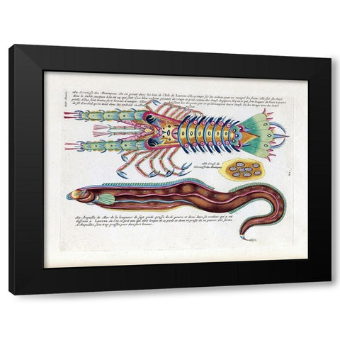 Ecrevisses des Montagnes Black Modern Wood Framed Art Print with Double Matting by Renard, Louis